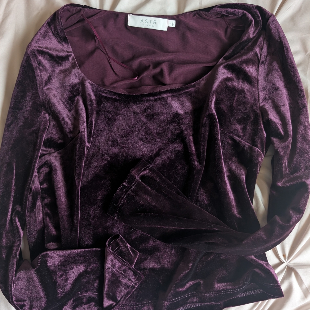 ASTR Velvet Long Sleeve Top in Purple